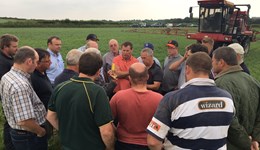 Monitor Farm Monday: Planning a fungicide strategy